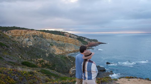 Comment organiser une expédition pour observer les tigres du Bengale en Inde?