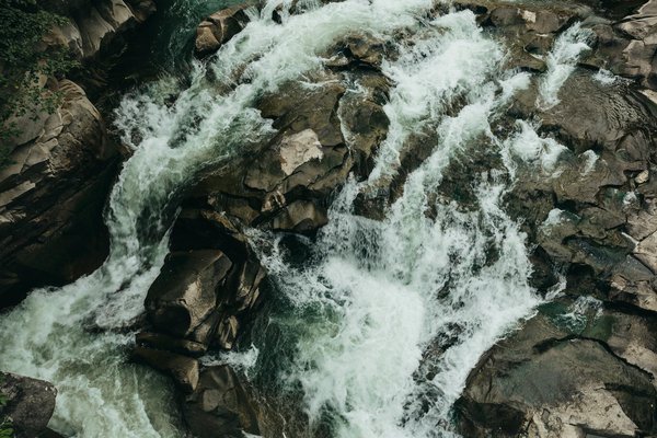 Quels sont les meilleurs endroits pour observer les oiseaux migrateurs en Espagne?